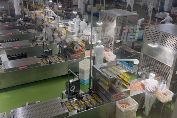 山東大型食品廠(chǎng)奧爾良雞肉腸加工項(xiàng)目